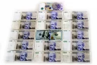 Julio bate récords de venta de dólares para ahorro