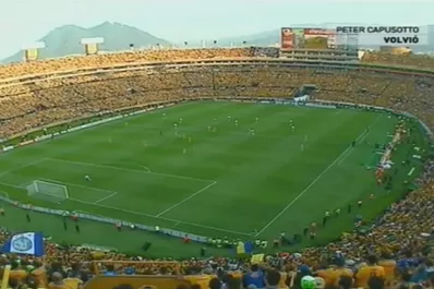 Increíble: el hincha de Tigres que vio el partido con River ya fallecido