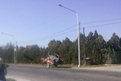 Trasladaron un Fiat 600 arriba de un carro en Tafí Viejo