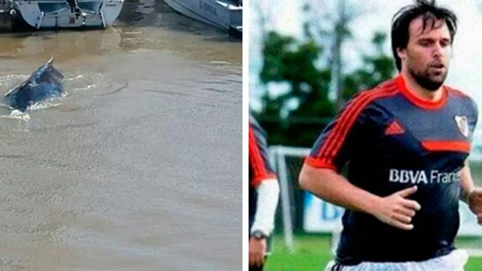 La ballena en Puerto Madero y una catarata de cargadas