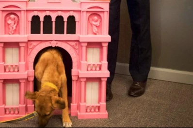 Macri le regaló a su perro una cucha estilo Casa Rosada