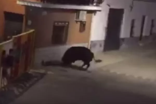 España: impactante muerte de un hombre en una corrida de toros