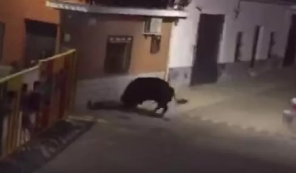 CAPTURA DE VIDEO