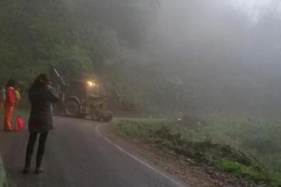 Por la caída de un árbol, piden circular con precaución por la ruta a San Javier