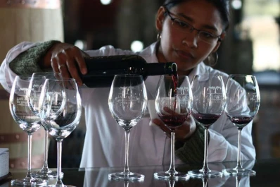 En la “Peatonal del vino tucumano” podrás catar los productos de los Valles Calchaquíes