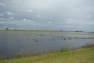 Las inundaciones no son por la siembra directa