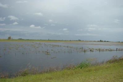 Las inundaciones no son por la siembra directa