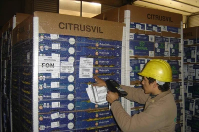 Exportar limones a India exige cerrar un acuerdo comercial