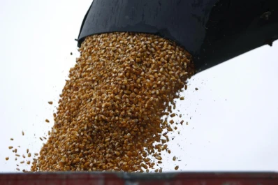 “Faltan políticas que fomenten la producción”