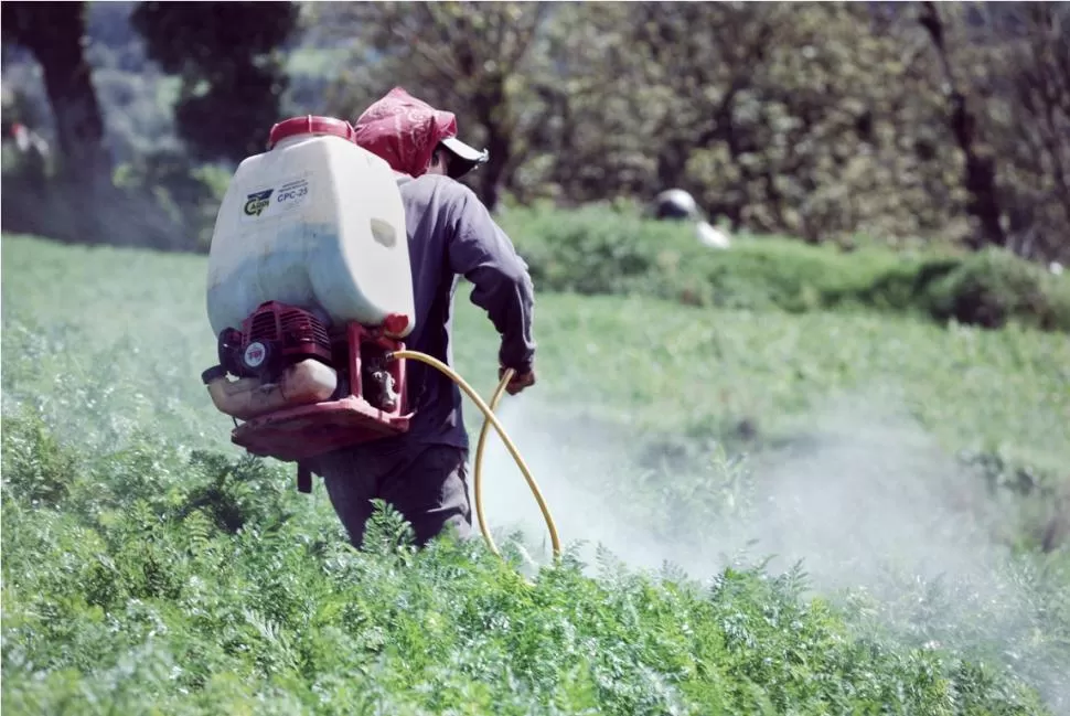 AGROQUIMICOS. Debe existir una metodología de identificación adecuada. LA GACETA / ARCHIVO