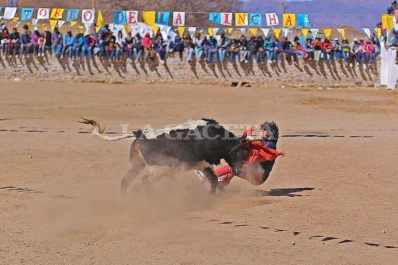 En Casabindo, la vincha del toro es para la Virgen