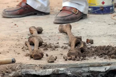 El Equipo Argentino de Antropología Forense analizará restos encontrados en Santiago