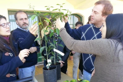 Capacitaron a inspectores de viveros cítricos