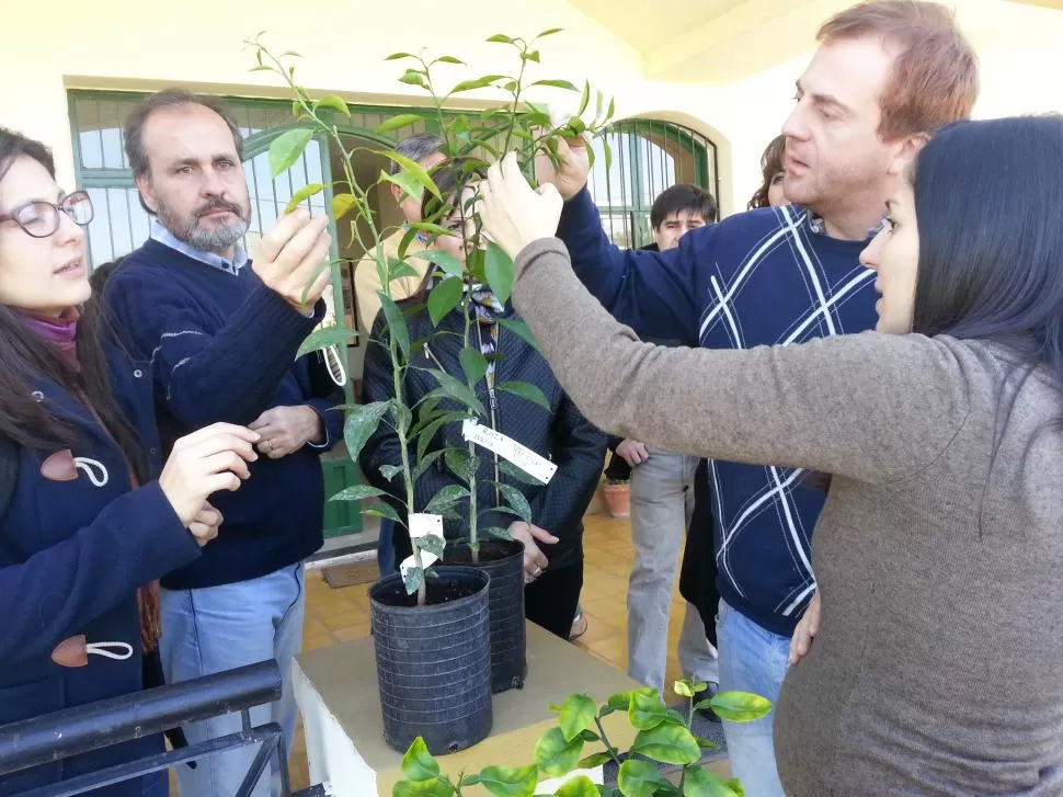 OBJETIVO. Los inspectores aprendieron verificando algunos casos prácticos. Gentileza eeaoc