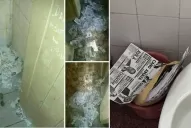 Tiraron votos de Cano y Roberto Sánchez a la basura