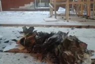 Reprimen y encarcelan a militantes del Partido Obrero, en Los Ralos