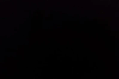 Scioli vino a la provincia en uno de los aviones presidenciales