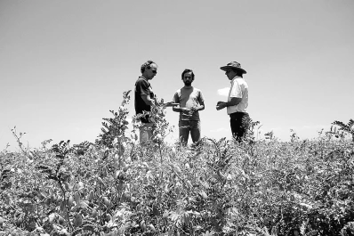 Los Grupos CREA apuestan a la capacitación