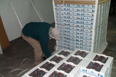 Capacitarán en cámaras  de fumigación con bromuro