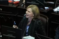 La DAIA lamentó los exabruptos de Rojkés en el Senado