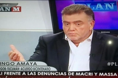 Domingo Amaya le respondió a Aníbal Fernández y pidió la nulidad de los comicios