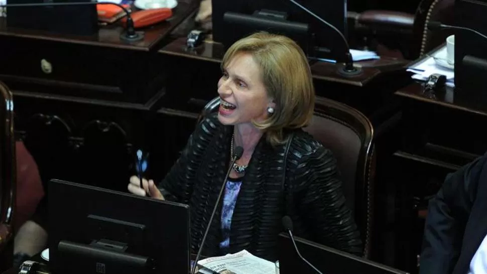 POLÉMICA. Rojkés usó terminos cuestionables en la última sesión del Senado. DYN