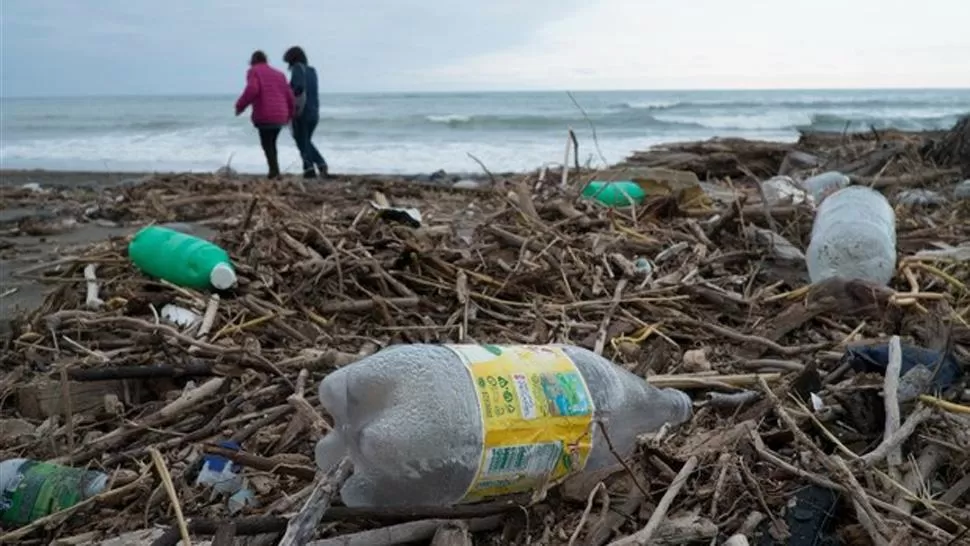 MILLONES DE DESECHOS. Todos los días toneladas de basura terminan en las aguas dulces y saladas de nuestro planeta. FOTO TOMADA DE JORNADA.UNAM.MX