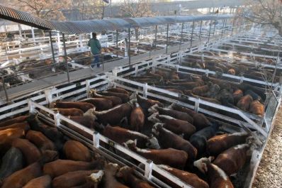 POSIBLES IMPACTOS DE UNA DEVALUACIÓN EN EL MERCADO DE HACIENDA EN PIE