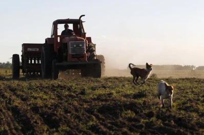 ¿Se puede llegar a ser rentable y sustentable al mismo tiempo?