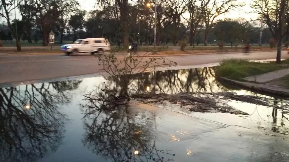 Una cloaca frente al Parque lleva medio año destapada