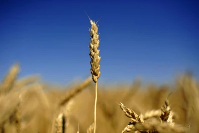 La crisis del campo se acentúa en el NOA