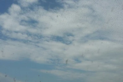 Una manga de langostas nubla el cielo en La Madrid