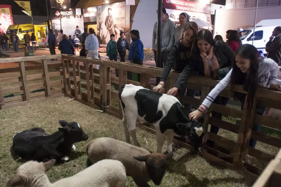  -LA GACETA- FOTO DE INÉS QUINTEROS ORIO