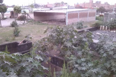 Aseguran que un predio de la SAT está abandonado y que se convirtió en guarida de delincuentes