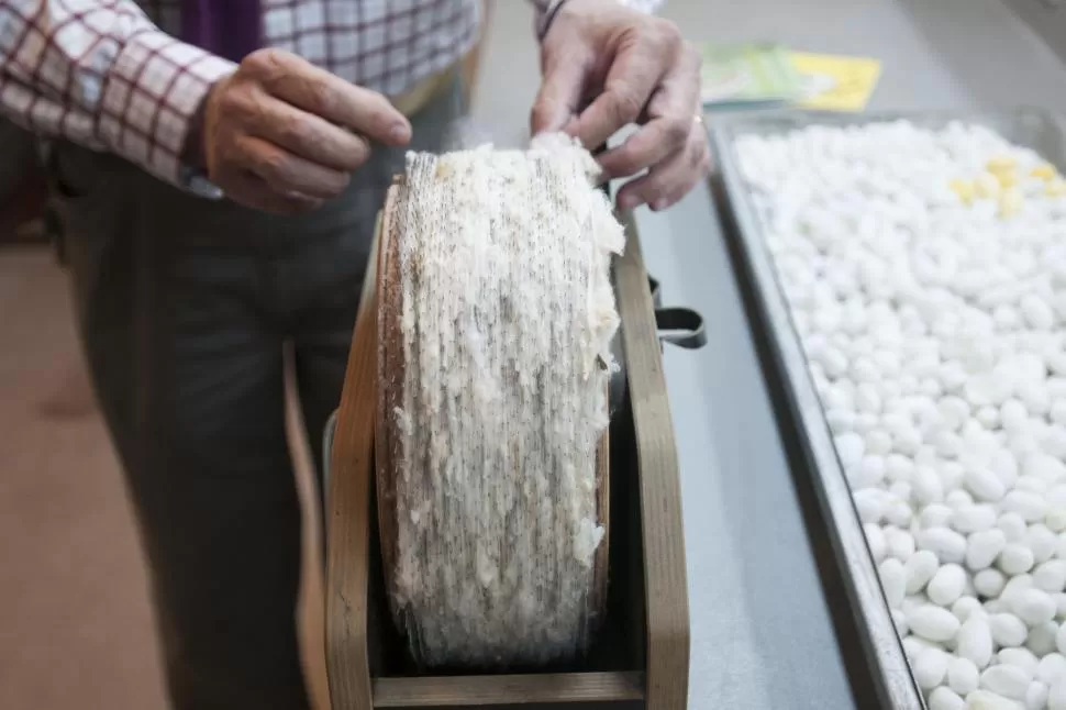 PROCESOS. La borra que recubre a los capullos se la aprovecha para tejer una vez que se procesa.   LA GACETA / FOTOS DE INÉS QUINTEROS ORIO.