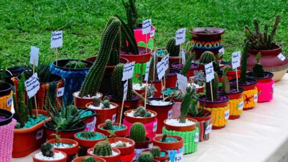 NEGOCIO ECOLÓGICO. La gente tendrá la posibilidad de entregar un residuo y de recibir un plantín a cambio. FOTO TOMADA DE ELMIRADORDIARIO.COM.AR