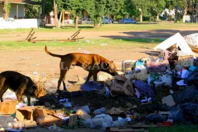 Un motociclista fue atacado por perros callejeros en Monteros y falleció