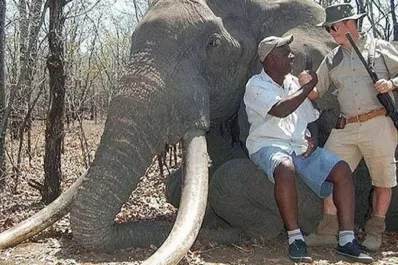 Un cazador alemán mató al elefante más grande de África