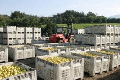 Citrícola San Miguel celebró 60 años de trabajo en el sector
