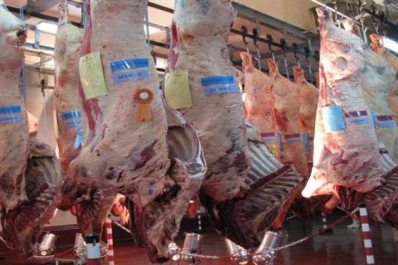 Podrían quebrar más frigoríficos antes del cambio de Gobierno