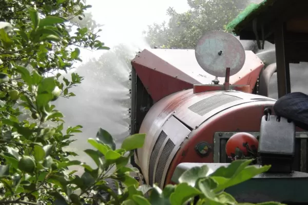 Llegó la hora de proteger las quintas cítricas