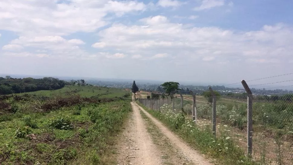 LA GACETA / FOTO DE ROBERTO DELGADO
