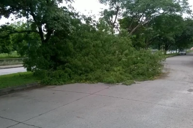 Un árbol se derrumbó en Camino del Perú y Don Bosco