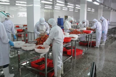 “Las lluvias y las enfermedades afectaron la producción”