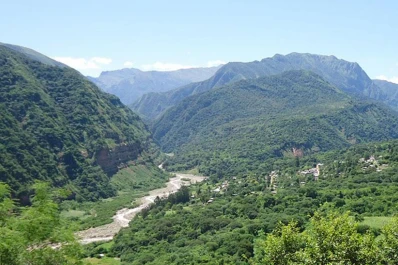 Entregaron $ 4 millones en subsidios para proteger bosques nativos en Jujuy