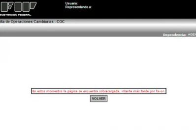 Por segundo día consecutivo, no se puede comprar dólares a través de la AFIP
