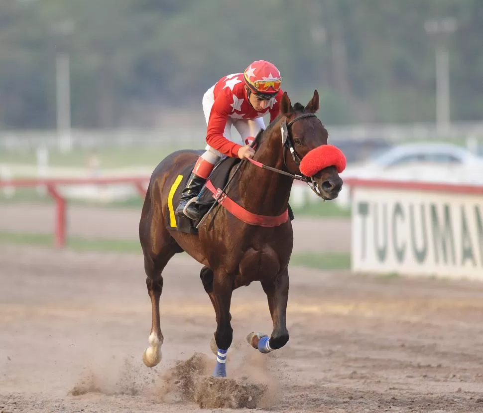 LE SOBRA EXPERIENCIA. Indian Surge será uno de los protagonistas en el especial. LA GACETA / FOTO DE HÉCTOR PERALTA (ARCHIVO)