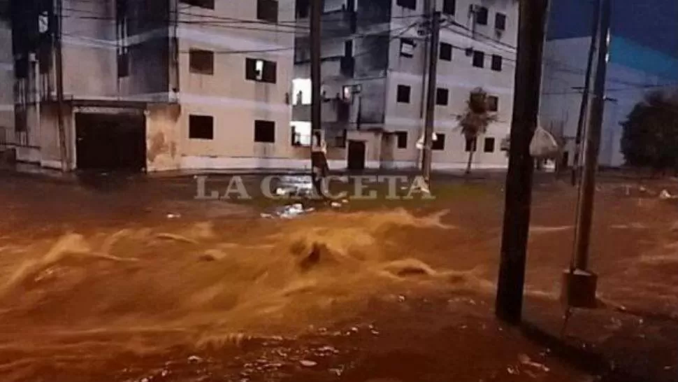 IMAGEN ENVIADA POR UN LECTOR