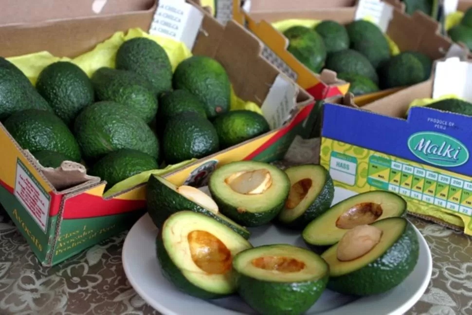 FRUTA PREMIUM. En Tucumán se produce palta Hass de excelente calidad.  