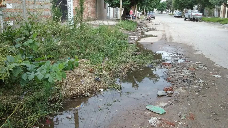 La desidia se instaló en la esquina de Perú y Catamarca